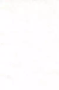 (C59) [Hikagemono (Hikage Tetsuo)] Tamanegibatake 1+2+