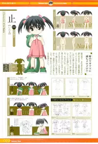 SummerDays Visual Guide Book