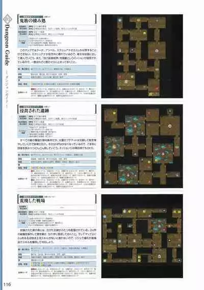 Amayui Labyrinth Meister Perfect Guidebook