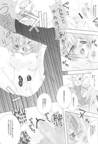 (C67) [AZA+ (Yoshimune)] Mithra ko Mithra 3 (Final Fantasy XI)