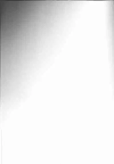 Zenbu Natsu no Sei‼ ︎