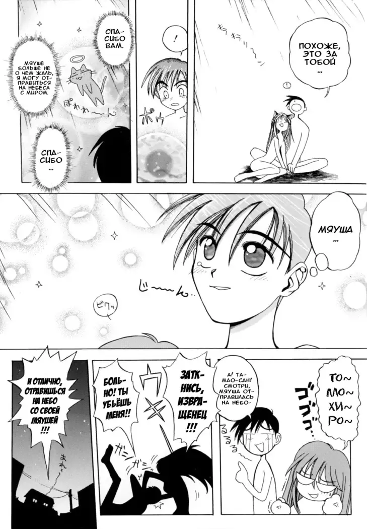 PRETTY CAT'S SHOW TIME