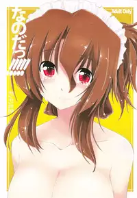 (C78) [Girigiri Nijiiro (Kamino Ryu-ya)] Nanoda!!!!! (Hayate no Gotoku!) [Chinese] [酷鲨汉化]