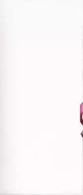 Hin-nyu v29 - Dai Hin-nyu Undoukai