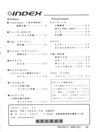 [Team Plus-Y (Various)] PLUS-Y Vol. 27 (Various)