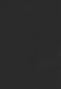 (C73)[Sangatsu No Lion (Don Shigeru)] Fog Field (Darker Than Black)