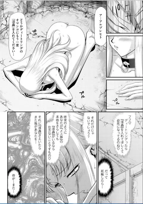 Ingoku no Sumeragi Hime Dietlinde 【Saishuuwa】