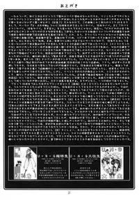 (C65) [UA Daisakusen (Harada Shoutarou)] Ruridou Gahou CODE:22 (CAPCOM)