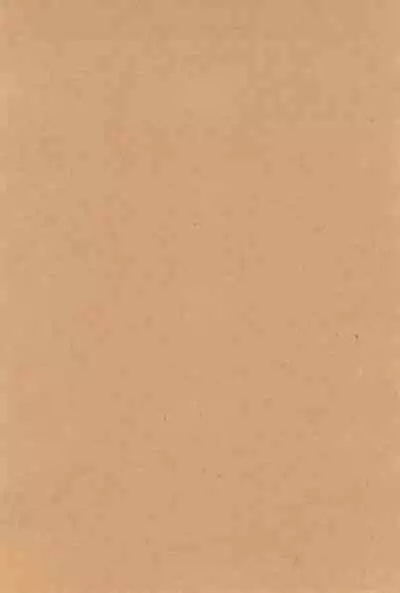 [Nimoya (Nimoyu)] Kuuhaku Chitai no Kourousha (Digimon)