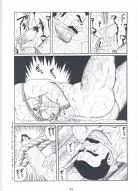 [Gengoroh Tagame][田龟源五郎] Shirogane-no-Hana The Silver Flower vol.2[银之华] [Chinese]