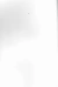 (Douyara Deban no Youda! 11) [R*C (Rescar)] PaPa (Boku no Hero Academia)