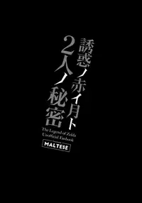 (C93) [Maltese (Runrun)] Yuuwaku no Akaitsuki to Futari no Himitsu (The Legend of Zelda) [English] [mysterymeat3]