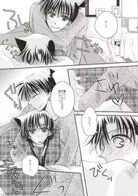 (SUPER23) [T.K.H.K (Hayami Aya)] Yoru no Uchi ni (Detective Conan)
