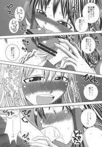 (C75) [Sekai Chizu wa Chi no Ato (jude)] Phlox X Crocus (Touhou Project)