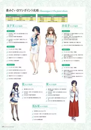 Alice soft "Tsuma wife series" Art Works