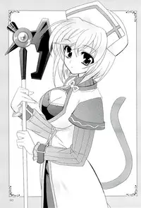 (SC34) [PLUM (Kanna)] Magical SEED BIND (Mahou Shoujo Lyrical Nanoha)
