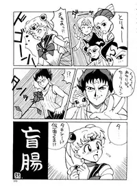 (C45) [Chou Anekikai & Studio Terion (Various)] Chou Aneki (Bishoujo Senshi Sailor Moon)