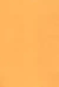 (Kouroumu 7) [Rakka Sokudo 2.5 (Pira)] Yappari Neko nano. (Touhou Project)