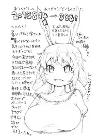 (C88) [tuiteyukenuyo (Zo)] Aka to Ao no Circus (Touhou Project)