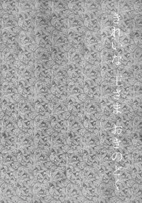 (SPARK7) [spinner (Ishigami Nie)] Kirei na Ou-sama Okinodoku (Magi: The Labyrinth of Magic)