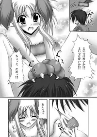 (C80) [chronicle (YUKITO)] FATE COLLECTION II (Mahou Shoujo Lyrical Nanoha)