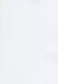 (C88) [Asaki Blog Branch Office (Asaki Takayuki)] Marcille Meshi (Dungeon Meshi)