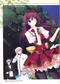 Kimi wo Aogi Otome wa Hime ni Visual Fan Book