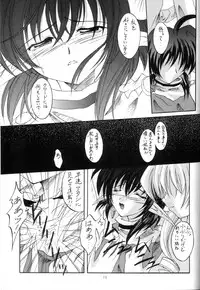 (C60) [RED RIBBON REVENGER (Various)] Elf's Ear Book 7 - Kamigami no Tasogare (Star Ocean 2)