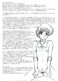 (C68) [Niku Ringo (Kakugari Kyoudai)] Nippon Mokusei (Sailor Moon) [English]