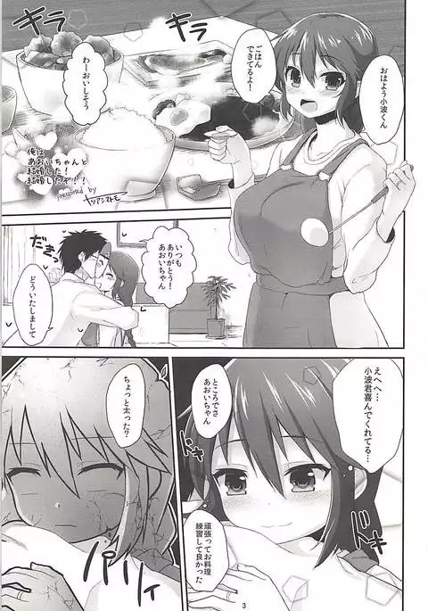 Pawaplus H 2013 Fuyu