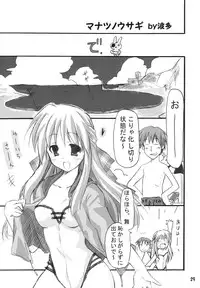 (C67) [Transistor Baby (Hata)] Puchi Usagi (Kanon)