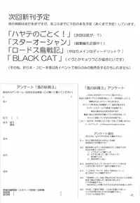 (C68) [RED RIBBON REVENGER (Various)] Kaze no Yousei 3 (Elemental Gelade)