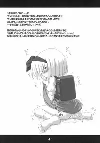 (C72) [Schwester (Inasaki Shirau)] Ochikko Youmu 2 (Touhou Project)
