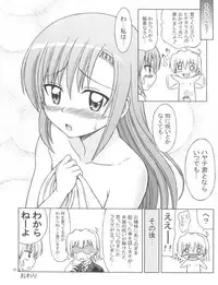 (C76) [Brain Dead (Eiji)] Hina to Izumi no Shakunetsu Stroganoff (Hayate no Gotoku!)
