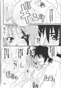 [Type=Punichment] FCD (ggx)