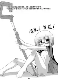 (C74) [Saihate-Kukan (Hino Hino)] FLAT REVOLUTION (Zero no Tsukaima)