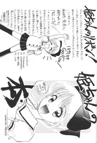 (C45) [Team Plus-Y (Haniwa Pao)] Himeko to Himegoto (Hime-chan's Ribbon)