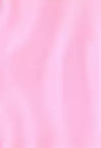 [John K. Pe-Ta] Chou Monzetsu Curriculum Plus