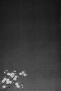 [Shinkuukan] Yu no Hana wa Sakurairo