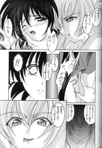 (C60) [RED RIBBON REVENGER (Various)] Elf's Ear Book 7 - Kamigami no Tasogare (Star Ocean 2)