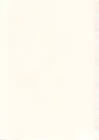 (C62) [Cha Cha Cha Brothers, Rupinasu Touzokudan (Yokoyama Chicha)] Saraba Ginrei Hon (Giant Robo)