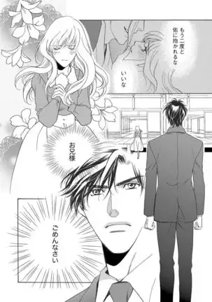 Imouto Mekake ~Onii-sama, Mou Yurushite~ <2>