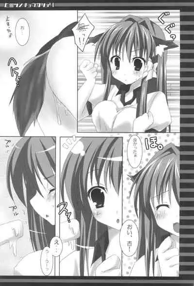 (C78) [Matsurija (Nanaroba Hana)] Himitsu no Kyoukasho Yon (Clannad)