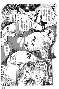 [Trochilidae] fighting queen 2 [Chiense]