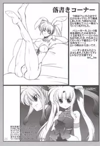 (C79) [WARP Co (45ACP)] Captive Rabbitl (Mahou Shoujo Lyrical Nanoha)