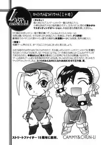 (C65) [UA Daisakusen (Harada Shoutarou)] Ruridou Gahou CODE:22 (CAPCOM)