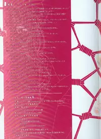 (C84) [Kyounetsuzanbun (TID, Paintmusume)] Touhou Kinbakuroku San (Touhou Project)