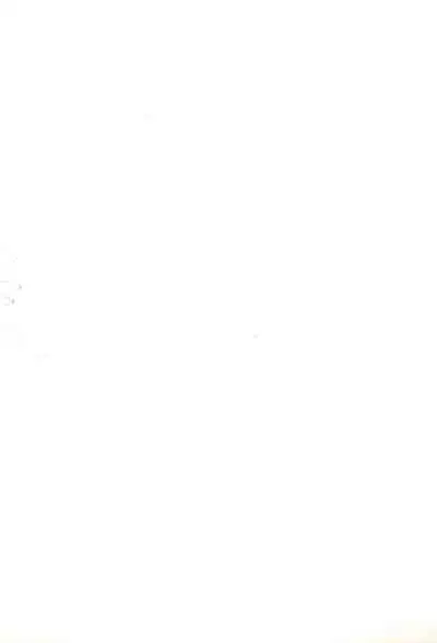 (C50) [Negoro Teppou Tai (Kotono Wakako)] Mini 4 Fighter Jun-chan!! (Bakusou Kyoudai Let's and Go!!)