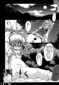(Reitaisai 10) [Divine Fountain (Koizumi Hitsuji)] Shinsei Fountain Soushuuhen Sonyo 4 (Touhou Project)