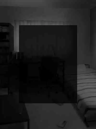 DVD hason no owabi ni okāsan o sashide shitara mechakucha ni ryōjoku sa rete mesu inu no honshō ga bare chatta